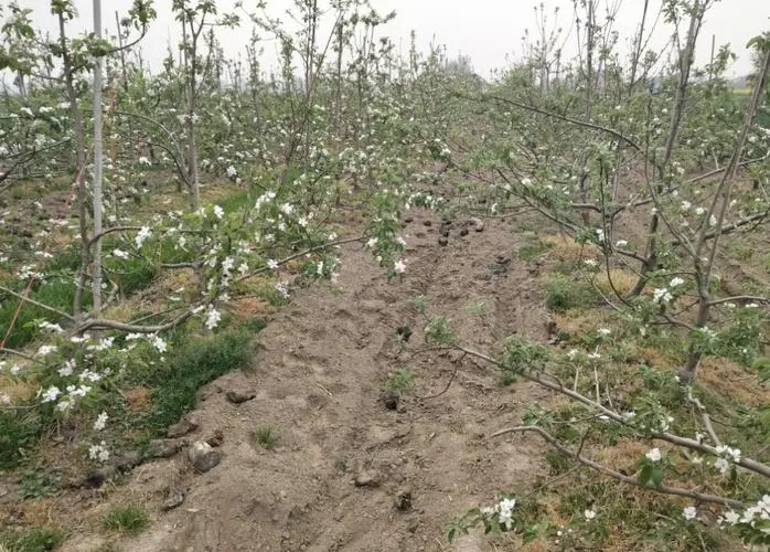 �O��Ҫ�߮a(ch��n)���������@��ôʩ�ʣ�