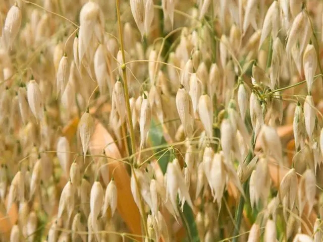 �����~Ƭ�l�S�Ǟ�ɶ�������~Ƭ�l�S�ķ�����