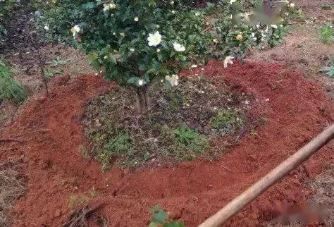 �Nֲ�Ͳ葪ԓ���ʩ�ʣ��Ͳ�ʩ�ʼ��g��