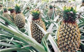 ���}ʩ�ʲ��E��ʲô�����}��ʩ�ʷ�����