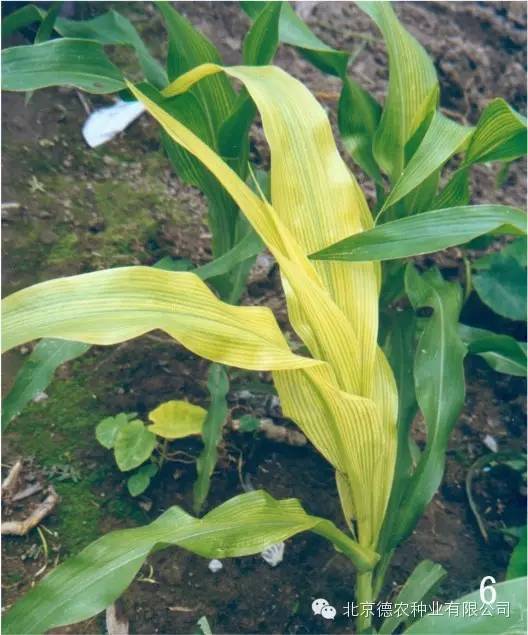 ����ȱ�ʰY�������ӵģ���η�������ȱ�ʣ�