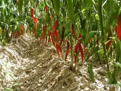 ����ʩ����ô������νo����ʩ�ʣ�