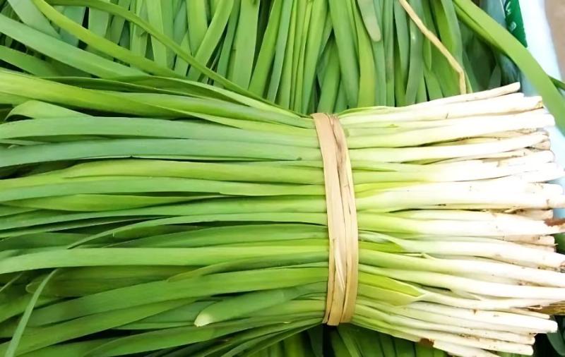 �ļ��²˹������g