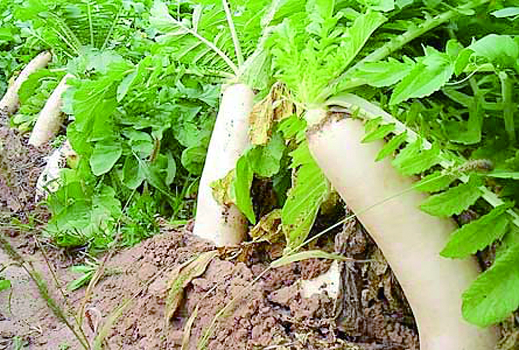 �}����(y��u)�|(zh��)Ҫ��ֹ����