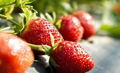 �ж��������Ǳ�ˮ���ĵģ�