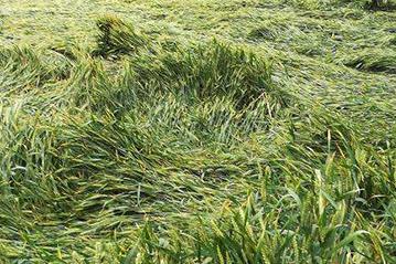 ����A��С��������С�������A������