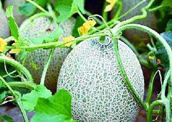 ������������ѹ�������ʩ