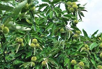 ������ô������������������