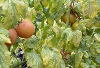 �����S�~��ô�k�������S�~���η���