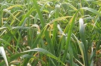 ����Ĵ���ɼ⡢�S��������ʮ�և��أ���ʲôԭ��