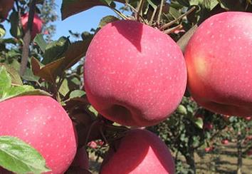 �O���@�ļ������������@4�c���P(gu��n)�I��