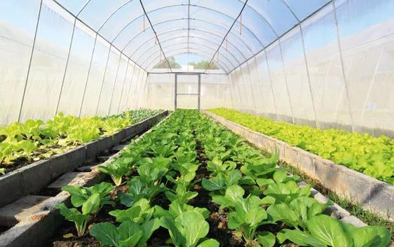 �߲�݆����ȫ��������Ҳ���������ϵK����