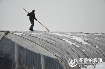 �����ѩ������