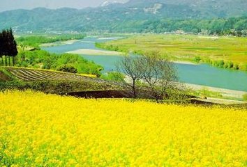 2018�궬�Ͳ˴������g�������gָ����Ҋ