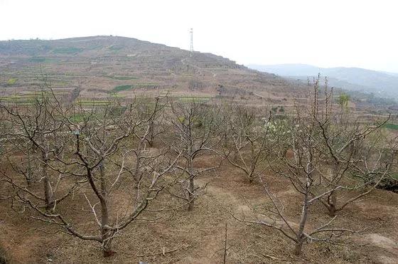 �й��@��ǧ�f�����e�^��������@����һ�����������}��������