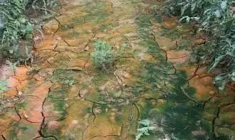 ����׃�G��׃�t��ʲôԭ�򡤡���?