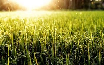 2019���Ϸ��絾������������������g��Ҋ