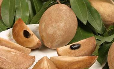 ���Ĺ������༼�g�c����