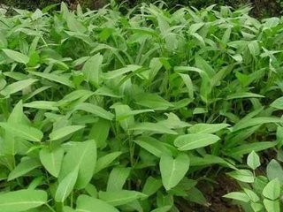 ���ĸߜض��꣬�O(p��ng)���@�@�ӹ������P(gu��n)�I��