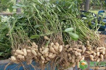 ���|������ι����a������