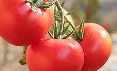 ���t��ʲô�r�g��ˮ�ã���ͬ�r�����t����ˮ