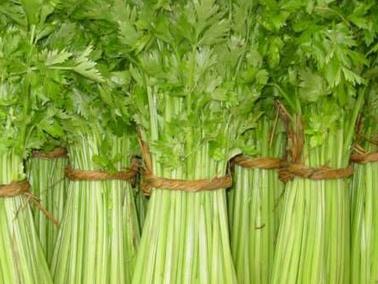 ��������۲˲�����߷NֲЧ�����۲˵����༼����