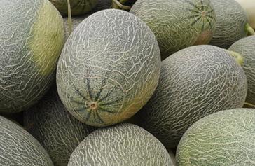 ���ܹ���ô�N�����ܹϵ����g�������g