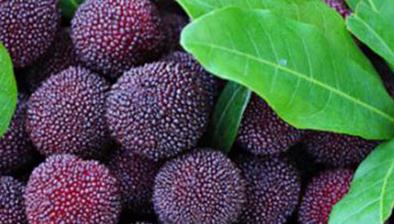 ��÷��������3���ߣ�����߮a���ó