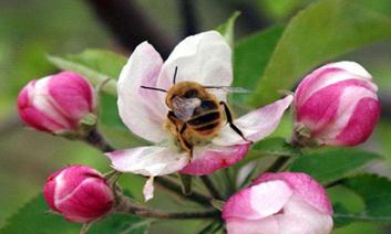 �O����(sh��)���ڹ�����һ��Ҫץס�@6����