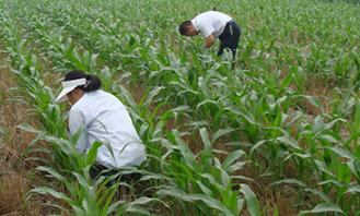 ���ӌ������M���������ԣ������������Լ���