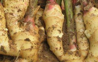 �����Nֲ��Ϋ@�߮a(ch��n)�������߮a(ch��n)�ķ�����