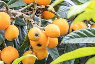 ���˳���r�g�����ˎ��·ݿ��Գ�