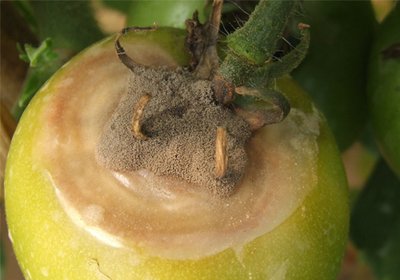 ���t���Nֲ�^���г��F��ù����ԓ��ô�k��