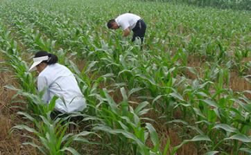 ���ӽo���״��죿���׿ƌW(xu��)���켼��