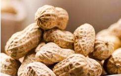 2019�껨���к��ڹ������g��Ҋ