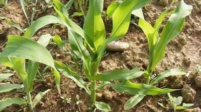 �����ײ��N�r�g�������ײ����N��Ҫע��ʲô