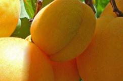 ���Ӯa�����������ʲô�r���ժ