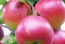 ��ô��߹��俹�����������俹��������������