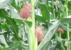 �������ڹ�����Ҫע����Щ��(x��)��(ji��)