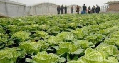 �＾��ηN�ô�ײˣ���Ҫע��ʲô��