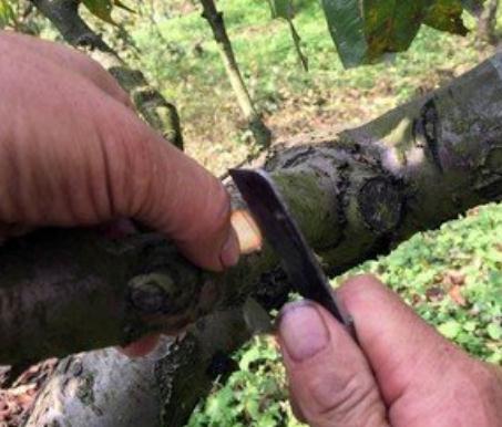 �Ҙ���ô�޽ӣ�Ҫ�Ǽ޽ӻ��ˣ����겻��������