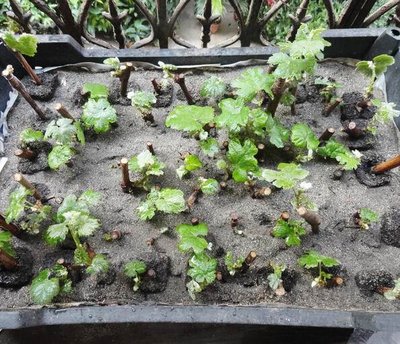 ����Ǥ�巽��������嵽�����У�һ��󲻳�](m��i)