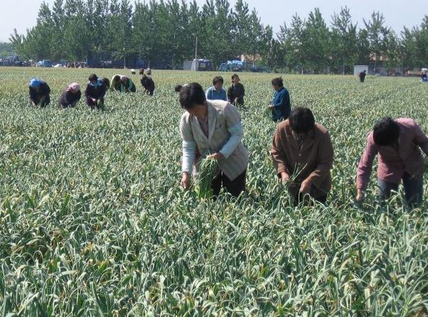 ������ι������ܸ߮a������߮a�������g��