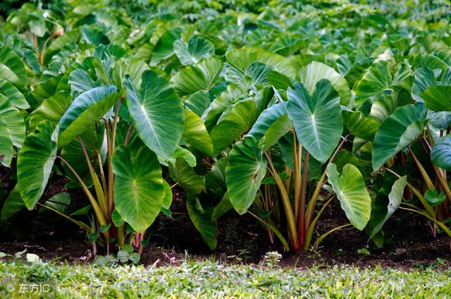 ���^�߮a���g����Ҫ�c����Щ��