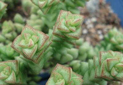 С������ô�B��