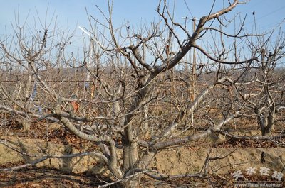 ���Ҷ����޼���ԓע��ʲô��