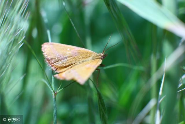 4���÷������Ժ���Ҳ�����������ˣ�