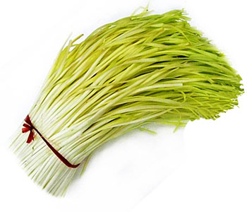 ���Sһ����ʲô�r(sh��)�g���N�����S�ķNֲ��������Щ��