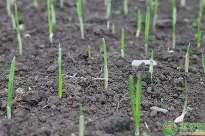 �@�׏�?ji��n)���֪���ˣ��������S�����£�