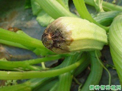 17�N�����J���x(ch��ng)������֪�����Ў׷N��